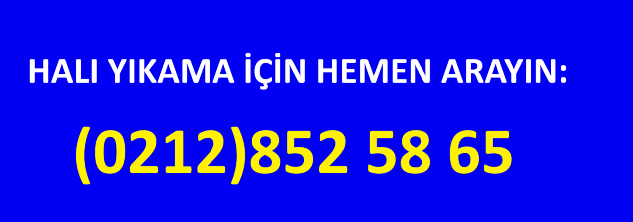 Bahçelievler Halı Yıkama Firması